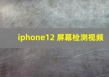 iphone12 屏幕检测视频